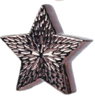 Globus-Baumarkt - Deko Stern Angebot im Prospekt Deko Stern bei Globus-Baumarkt im Prospekt "" für 5,49 €