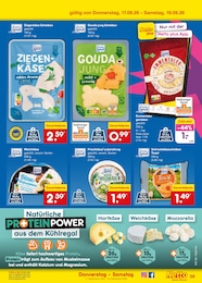 Netto Marken-Discount Toaster im Prospekt Netto Marken-Discount Toaster im Prospekt