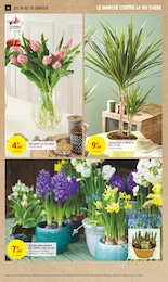 Offre Jardinage dans le catalogue Intermarché Super du moment à la page 14
