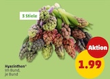 Hyazinthen im Angebot bei Penny in Falkensee Hyazinthen Angebote bei Penny Falkensee für 1,99 €