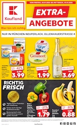 Kaufland Prospekt aktuelle Angebote