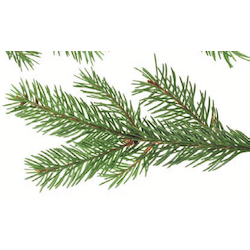 Metzgerfrisch Frische Hähnchenschenkel