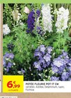 Potée Fleurie Pot 17 cm dans le catalogue Intermarché Super