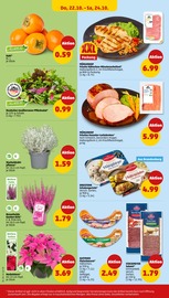 Garten im Penny Prospekt in Hoyerswerda Aktueller Penny Prospekt mit Garten, "Wer günstig will, muss Penny.", Seite 36