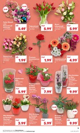 Aktueller Kaufland Prospekt mit Blumentopf, "KNÜLLER", Seite 16