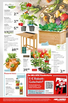 Blumenkasten Angebot im aktuellen Hellweg Prospekt auf Seite 25