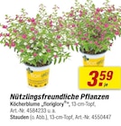 Angebot im toom Baumarkt Paderborn Prospekt toom Baumarkt Paderborn Prospekt mit im Angebot fĂŒr 3,59 âŹ