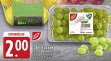 Tafeltrauben Angebote von EDEKA Bio oder GUT&GÜNSTIG bei EDEKA Duisburg für 2,00 €