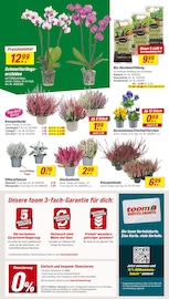 Aktueller toom Baumarkt Prospekt mit Blumen, "Respekt, wer's selber macht.", Seite 2