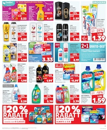 Hygienespüler Angebot im aktuellen Kaufland Prospekt auf Seite 20