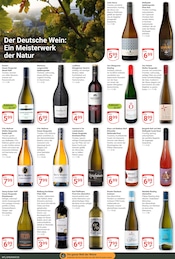 Aktueller GLOBUS Prospekt mit Reifen, "Aktuelle Angebote", Seite 17