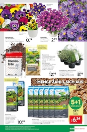 Aktueller BayWa Bau- und Gartenmärkte Prospekt mit Blumenerde, "Ihr Projekt im Herbst!", Seite 23
