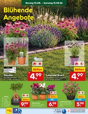 Ähnliche Obstbaum Angebote im Prospekt "Aktuelle Angebote" von Netto Marken-Discount in Bruchsal Ähnliche Angebote wie Obstbaum im Prospekt "Aktuelle Angebote" auf Seite 59 von Netto Marken-Discount in Bruchsal