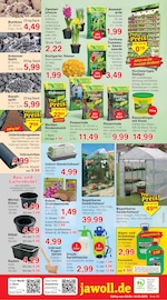 Tulpen im Jawoll Prospekt in Menden Aktueller Jawoll Prospekt mit Tulpen, "Sonderposten-Märkte", Seite 12