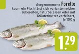 Forelle Angebote bei E center Herford für 1,29 €
