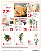 Promos Plante D'intérieur dans le catalogue "DES PRIX AUSSI BAS, C'EST LE TOP." de Auchan Hypermarché à la page 30 Promos Plante D'intérieur dans le catalogue "DES PRIX AUSSI BAS, C'EST LE TOP." de Auchan Hypermarché à la page 30