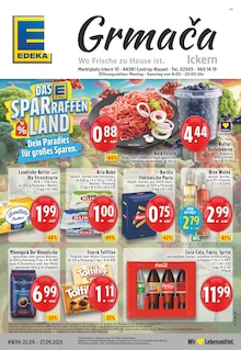Aktueller EDEKA Prospekt für Castrop-Rauxel mit  Seiten