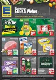EDEKA Prospekt mit 28 Seiten (Lugau (Erzgebirge))