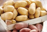 Intermarché Contact Saint-Sulpice-de-Royan - Promo Pommes de terre de consommation à chair ferme Promo Pommes de terre de consommation à chair ferme à 1,69 € dans le catalogue Intermarché Contact à Saint-Sulpice-de-Royan