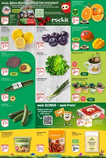 Zucchini im GLOBUS Prospekt "Aktuelle Angebote" mit 31 Seiten (Bochum)