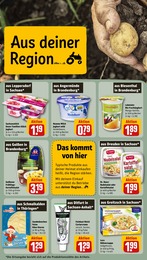 Stern Angebot & Preis im aktuellen REWE Prospekt Stern Angebot im aktuellen REWE Prospekt auf Seite 26