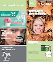 Aktueller LINDA Premiumapotheke Apotheken Prospekt in Ronnenberg und Umgebung, "Aktuelle Angebote" mit 3 Seiten, 01.10.2025 - 31.10.2025