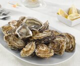 Huître creuse spéciale en promo chez U Express Garges-lès-Gonesse à 6,95 €