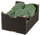 Broccoli im METRO Prospekt Broccoli von im aktuellen METRO Prospekt für 1,34 €