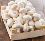 Intermarché Contact Polliat - Promo Champignon blanc Promo Champignon blanc à 1,79 € dans le catalogue Intermarché Contact à Polliat