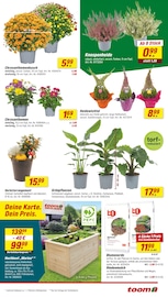 Gartendeko im toom Baumarkt Prospekt in Meerbusch Aktueller toom Baumarkt Prospekt mit Gartendeko, "Respekt, wer's selber macht.", Seite 3