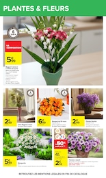 Offre Fleurs dans le catalogue Carrefour du moment à la page 49