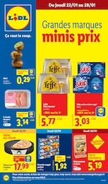 Catalogue Lidl "Grandes marques minis prix" à Chaumont et alentours, 79 pages, 22/01/2026 - 28/01/2026
