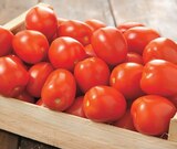 Tomate allongée - Intermarché Hyper à Rennes Tomate allongée en promo chez Intermarché Hyper Rennes à 1,99 €