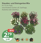 Stauden- und Steingarten Mix von  im aktuellen V-Markt Prospekt für 2,79 €
