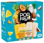 SORBET MINI ANANAS ION- NOIX DE COCO X8 - POP FRUIT en promo chez Netto SORBET MINI ANANAS ION- NOIX DE COCO X8 - POP FRUIT dans le catalogue Netto