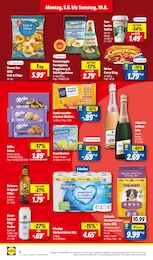 Hundefutter Angebot im aktuellen Lidl Prospekt auf Seite 10