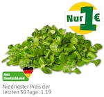 MARKTLIEBE Deutscher Feldsalat im aktuellen Penny Prospekt