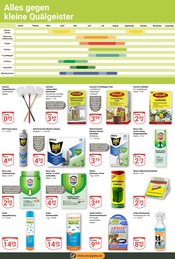 Aktueller GLOBUS Prospekt mit Zimmerpflanzen, "Aktuelle Angebote", Seite 19