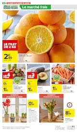 Plantes Angebote im Prospekt "BONNE ANNÉE BONNE PROMO" von Carrefour Market auf Seite 36