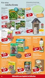 Aktueller Sonderpreis Baumarkt Prospekt mit Saatgut, "... da, wo die coolen Preise wohnen!", Seite 16