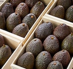 Avocat Affiné en promo chez Netto Avocat Affiné dans le catalogue Netto
