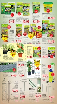 Blumentopf im aktuellen Jawoll Prospekt (Essen) Blumentopf im Jawoll Prospekt "Sonderposten-Märkte" mit 16 Seiten (Essen)