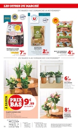 Fleurs Angebote im Prospekt "U Express" von U Express auf Seite 30