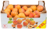 Kaufland Sangerhausen - Ital./span. Aprikosen XXL Angebot im Prospekt Ital./span. Aprikosen XXL bei Kaufland im Sangerhausen Prospekt für 3,99 €