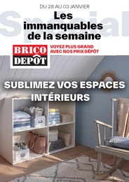 Catalogue Brico Dépôt "Les immanquables de la semaine" à Épinal et alentours, 1 page, 28/12/2023 - 03/01/2024