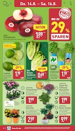 Aktueller ALDI Nord Prospekt mit Bonsai, "Aktuelle Angebote", Seite 26
