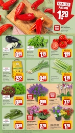 REWE Blumen im Prospekt REWE Blumen im Prospekt