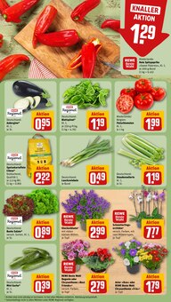 Kartoffeln im REWE Prospekt "Dein Markt" mit 26 Seiten (Dortmund)
