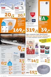 Laminat Angebot im aktuellen Globus-Baumarkt Prospekt auf Seite 6