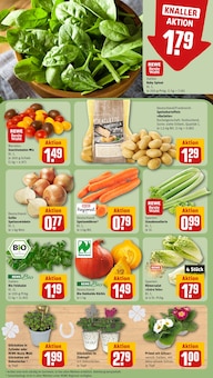 Gemüse im REWE Prospekt "Dein Markt" mit 16 Seiten (Pforzheim)